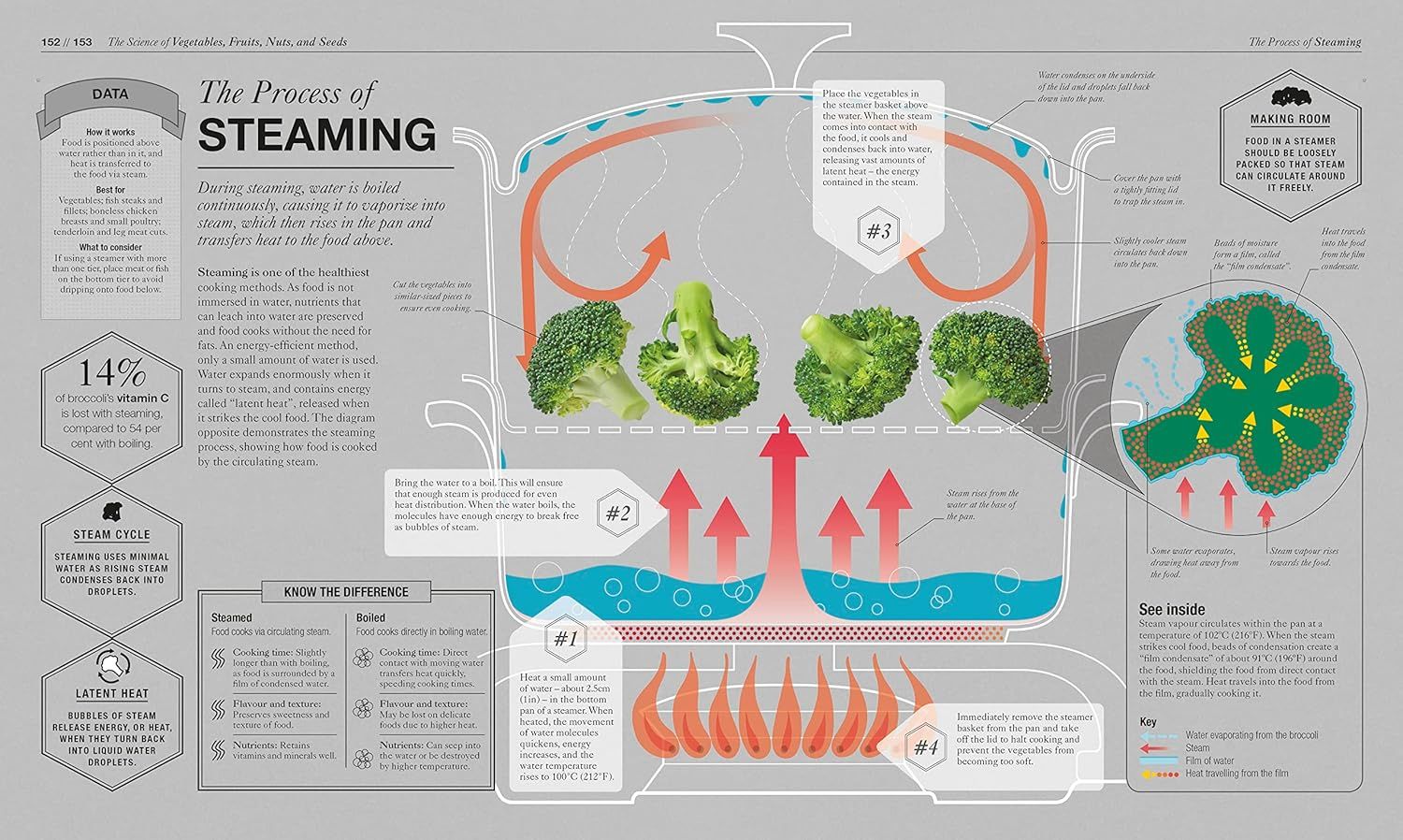 The Science of Cooking | Стюарт Фаримонд | Цена | Ozone.bg