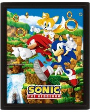 3D плакат с рамка Pyramid Games: Sonic - Sonic (Catching Rings) -1