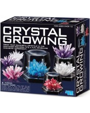 Творчески комплект 4M - Направи си сам, растящи кристали -1