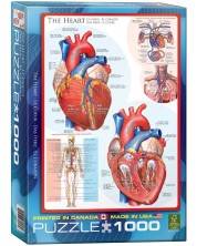 Пъзел Eurographics от 1000 части – Човешкото тяло, Сърце -1