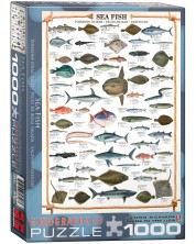 Пъзел Eurographics от 1000 части –  Морска риба