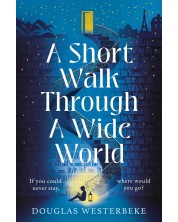 A Short Walk Through a Wide World -1