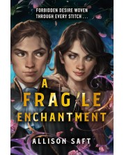 A Fragile Enchantment -1