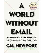 A World Without Email -1