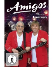 Amigos - Wie ein Feuerwerk (DVD)