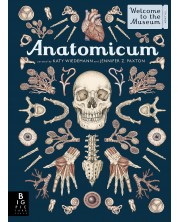 Anatomicum -1