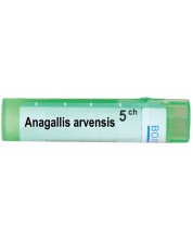 Anagallis arvensis 5CH, Boiron -1