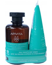 Apivita Комплект за мазни корени и сухи краища - Шампоан и Балсам, 250 + 150 ml (Лимитирано ) -1