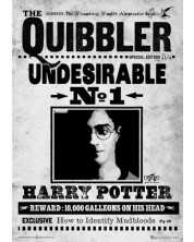 Арт принт Pyramid Movies: Harry Potter - The Quibbler