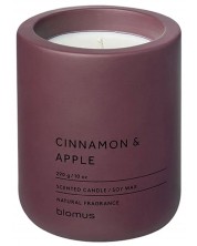 Ароматна свещ Blomus Fraga - L, Cinnamon & Apple, Port