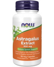 Astragalus Extract, 500 mg, 90 капсули, Now