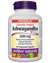 Ashwagandha, 300 mg, 120 капсули, Webber Naturals