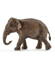 Фигурка Schleich Wild Life Asia and Australia - Индийски слон, женски -1