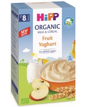 Био инстантна млечна каша Hipp - Плодове и йогурт, 250 g -1