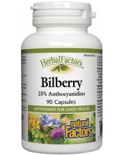 Herbal Factors Bilberry, 90 капсули, Natural Factors -1