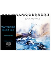 Блок за рисуване Black&White №3 - 14 листа, асортимент -1