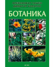 Ботаника -1
