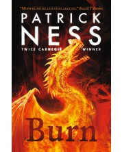 Burn (Paperback)
