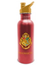 Бутилка за вода Pyramid Movies: Harry Potter - Platform 9 3/4, 700 ml