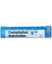 Caulophyllum thalictroides 9CH, Boiron -1