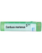 Carduus marianus 5CH, Boiron -1