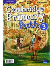 Cambridge Primary Path Level 3 Flashcards / Английски език - ниво 3: Флашкарти