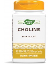Choline, 500 mg, 100 таблетки, Nature’s Way
