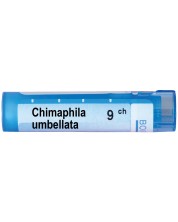 Chimaphila umbellata 9CH, Boiron