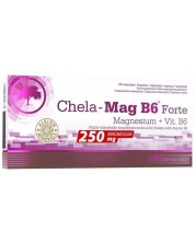 Chela-Mag B6 Forte, 60 капсули, Olimp -1