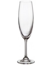 Чаши за шампанско Bohemia - Sylvia, 220 ml, 6 бр.