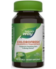 Chlorofresh Chlorophyll Concentrate, 90 капсули, Nature’s Way