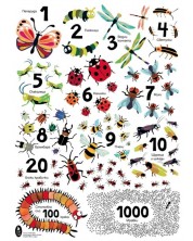 Числа с буболечки (цветен плакат)