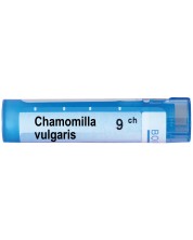 Chamomilla vulgaris 9CH, Boiron -1