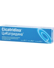 Cicatridina Ointment, 60 g, Naturpharma -1