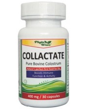 Collactate, 400 mg, 30 капсули, Phyto Wave -1