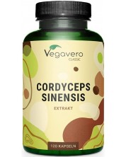 Cordyceps Sinensis Extrakt, 500 mg, 120 капсули, Vegavero -1