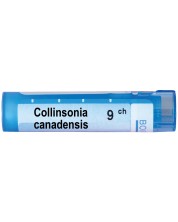 Collinsonia canadensis 9CH, Boiron