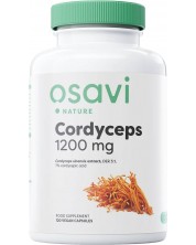 Cordyceps, 1200 mg, 120 капсули, Osavi -1