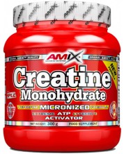 Creatine Monohydrate Powder, 300 g, Amix