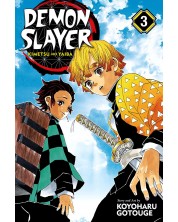 Demon Slayer: Kimetsu no Yaiba, Vol. 3