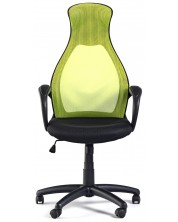 Директорски стол Mistik - зелен/черен -1