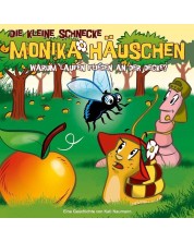Die kleine Schnecke Monika Häuschen - 24: Warum laufen Fliegen an der Decke? (CD)