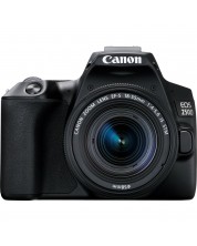 DSLR фотоапарат Canon - EOS 250D, EF-S 18-55mm ST, черен -1