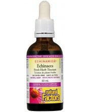 Echinamide Echinacea Билкова тинктура, 50 ml, Natural Factors