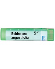 Echinacea angustifolia 5CH, Boiron -1