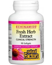 Echinamide Fresh Herb Extract, 90 софтгел капсули, Natural Factors -1