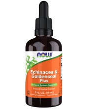 Echinacea & Goldenseal Plus, 59 ml, Now -1