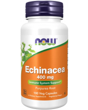 Echinacea, 400 mg, 100 капсули, Now