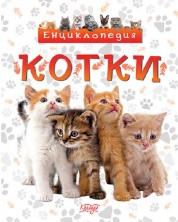 Енциклопедия: Котки