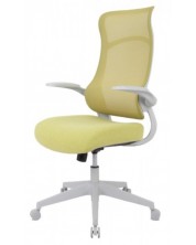 Ергономиочен стол Alexis - White, зелен
